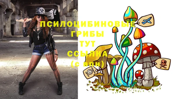 ECSTASY Абдулино