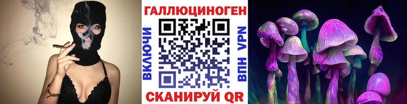 Псилоцибиновые грибы Psilocybe  купить закладку  Усть-Кут 