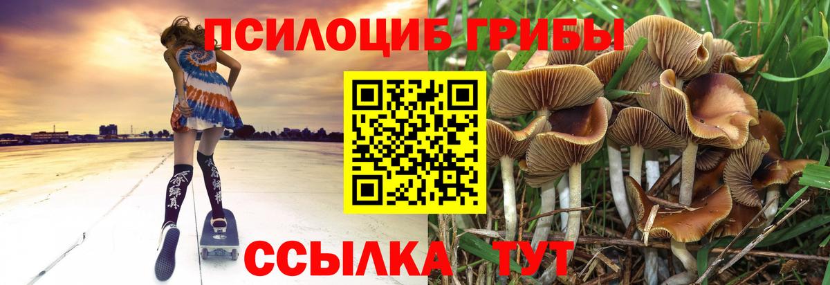 Усть-Кут  Псилоцибиновые грибы прущие грибы  Вход с VPN 